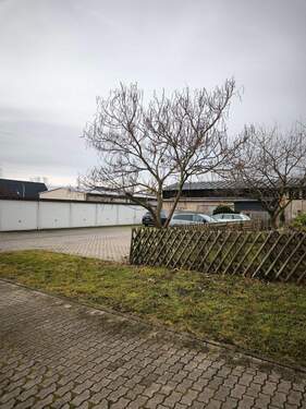 IMG_20251209_105503 - 