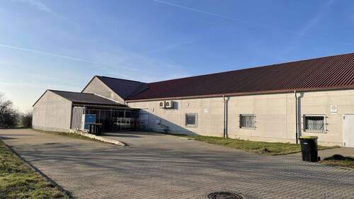 Blick hinter den Markt - Gewerbeobjekt (Büro, Produktion, Verkauf) in Strehla zur Miete