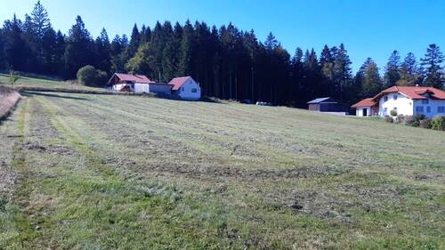 Grundstück (4) - Grundstück in Herzogsreut zum Kaufen