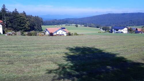 Grundstück (7) - 