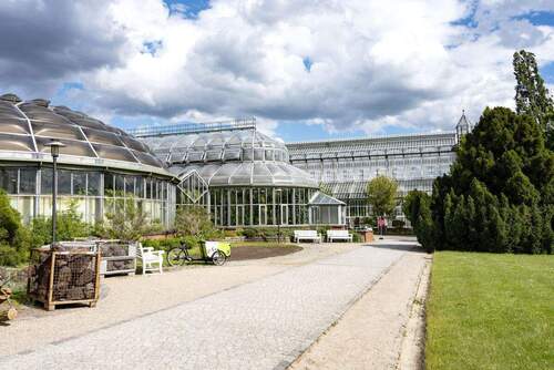 Botanischer Garten - 