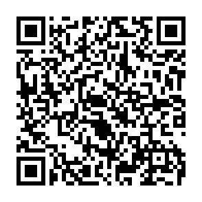 QR-Code - 