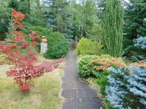 Garten.jpg - 
