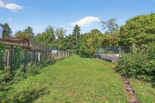 Blick in den Garten - 