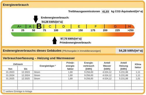 Energieausweis - 