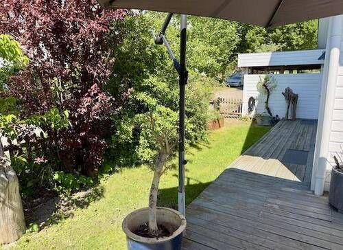 Ostumlaufende Terrasse - 