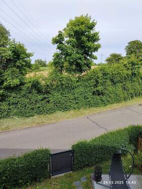 ... die andere Straßenseite - 