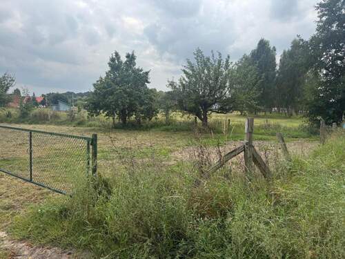 Blick auf das Grundstück - Grundstück in Schorfheide