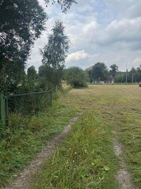 Zufahrt - Grundstück in Schorfheide zum Kaufen