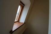 Dachfenster - Esche - 