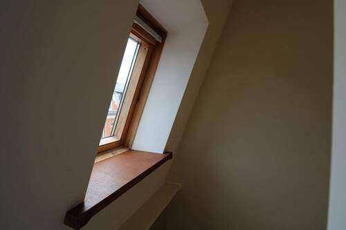 Dachfenster - Esche - 