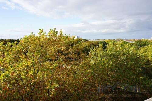 Aussicht vom Balkon - 
