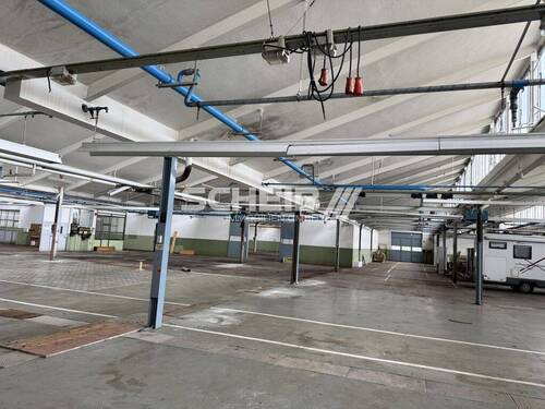 mehrere Hallen - 
