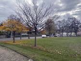 Goethepark - 