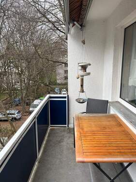 PHOTO-2026-03-15-16-23-19 8.jpg - 