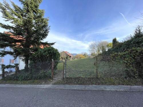 Ansicht des Grundstücks von der Straße - 