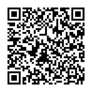 QR-Code - 