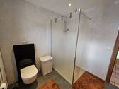 Erdgeschoss WC und Dusche . - 