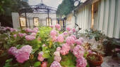 10. Esszimmer Waldgarten - 