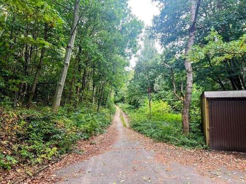 Wald hinter dem Grundstück - 
