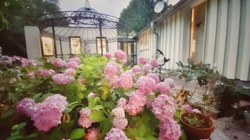 10. Esszimmer Waldgarten - 