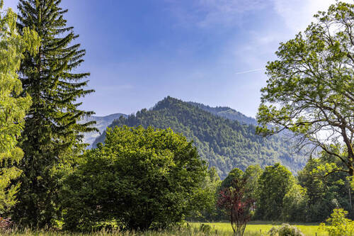 Blick - Jetzt mit FamiliemitKInd-Bonus - Sonniges Grundstück in Fischbachau