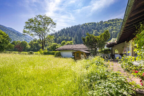 Blick - 