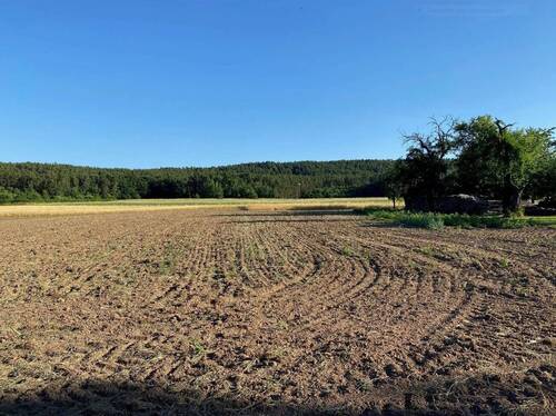 Grundstück Bild 2.JPG - 