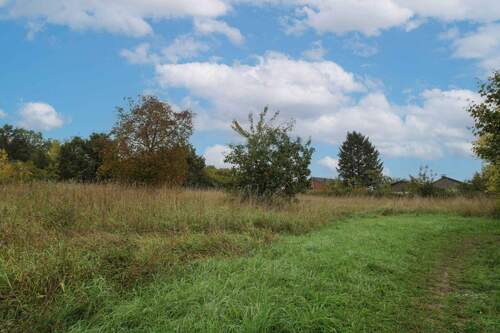 Westansicht - Grundstück zum Kaufen in Forchheim