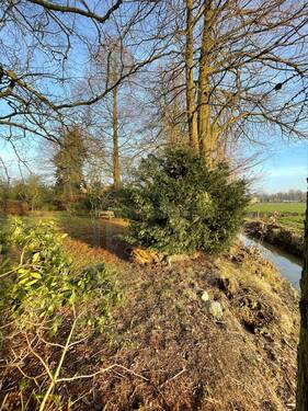 Garten - 