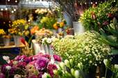 Markthalle - 