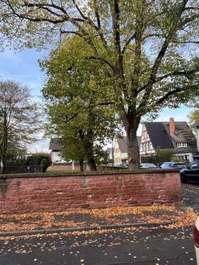 Blick vom Balkon - 