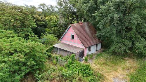 Einfamilienhaus von außen - Ehemalige Gärtnerei mit Wohnhaus am Waldrand in Dessau-Kochstedt