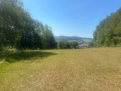 Ansicht (1) - Baugrundstück mit Wiesenflächen in Freyung