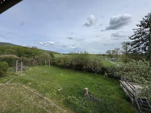 Aussicht vom Balkon in den Garten - 