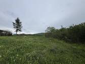 Blick in den Garten oberhalb des Hauses - 