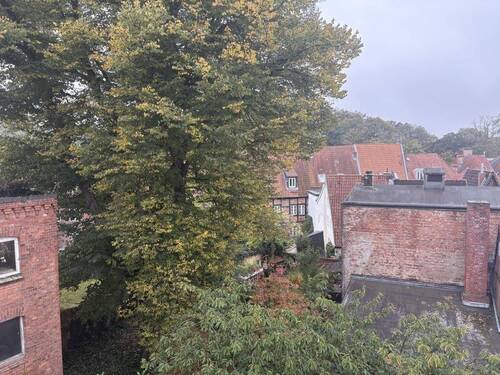  Ausblick über die Dächer - 