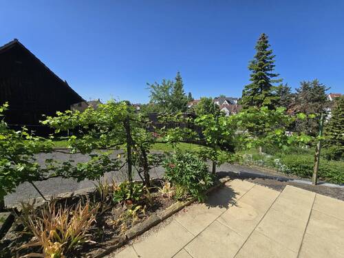 Blick von Terrasse - 