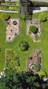 Beete von oben - 