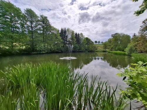 großer Teich
- 6 Zimmer Einfamilienhaus zum Kaufen in Callenberg/OT Falken