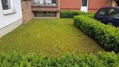 Der Garten - 