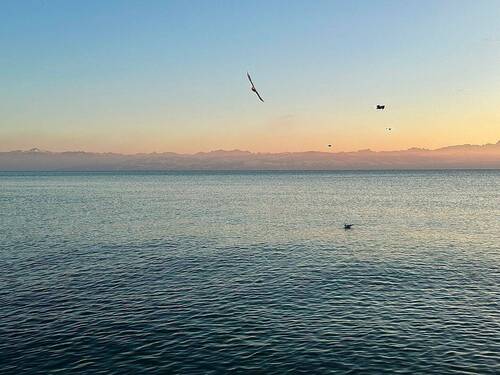 Bild 4 - Etagenwohnung mit 67,20 m² in Friedrichshafen zum Kaufen