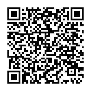 QR-Code - 