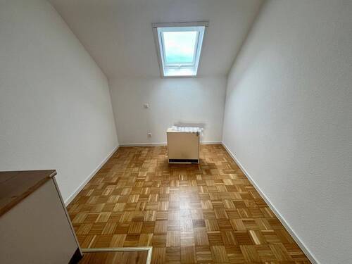 Dachfenster Blick - 