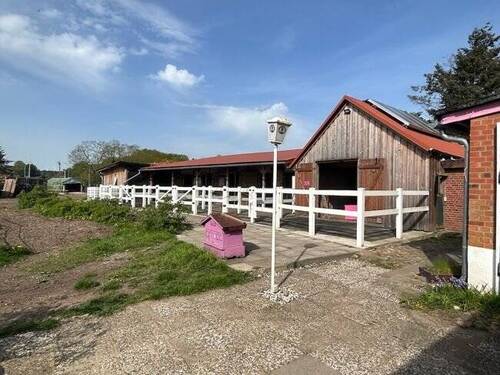 Blick auf Stallungen und Paddocks - 