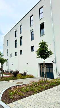 20250603 BUL EF (3).jpg - 