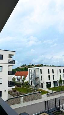 20250603 BUL EF (5).jpg - 