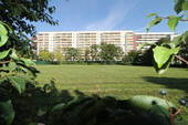 Detailansicht - 