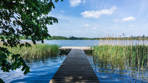 Bild 2 - Hotel, Pension, Gasthof zum Kaufen in Waren (Region)