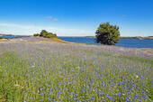 Bild 6 - 